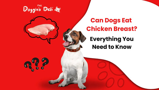 Can Dogs Eat Chicken Breast