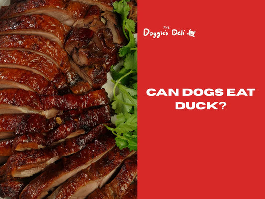 Can Dogs Eat Duck?
