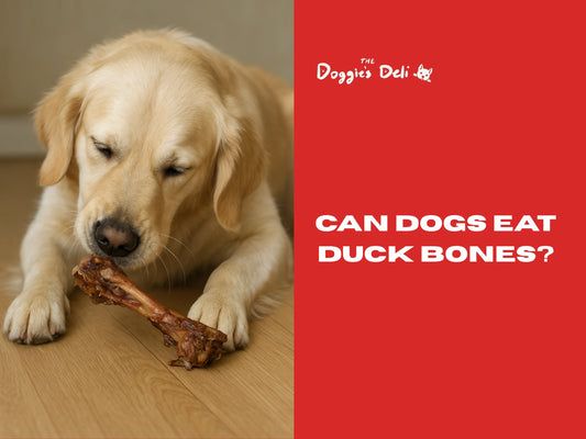 Can Dogs Eat Duck Bones?
