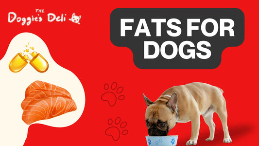 Fats_for_Dogs
