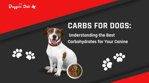 Carbs for Dogs: Understanding the Best Carbohydrates for Your Canine