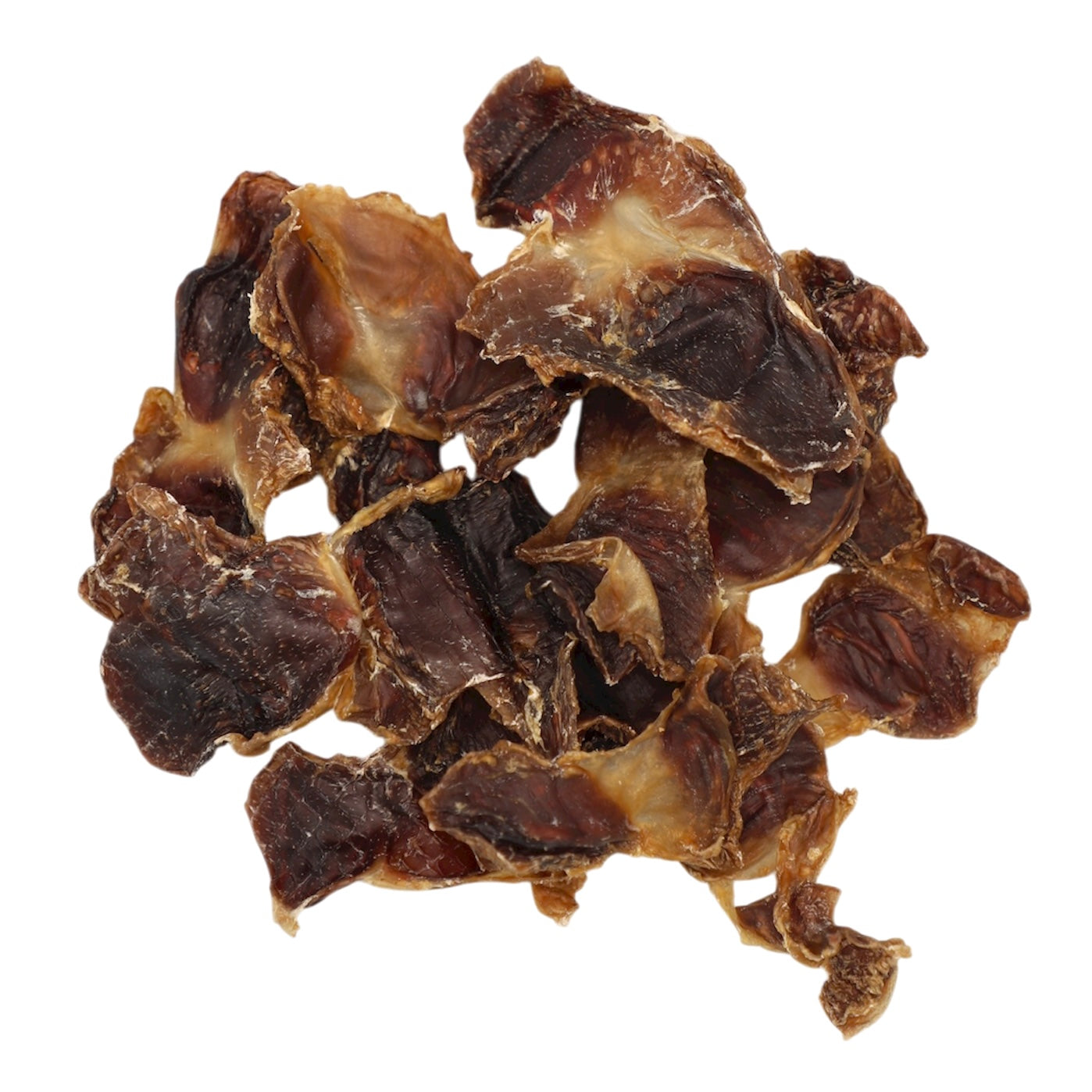 Dried animal bones on a white background