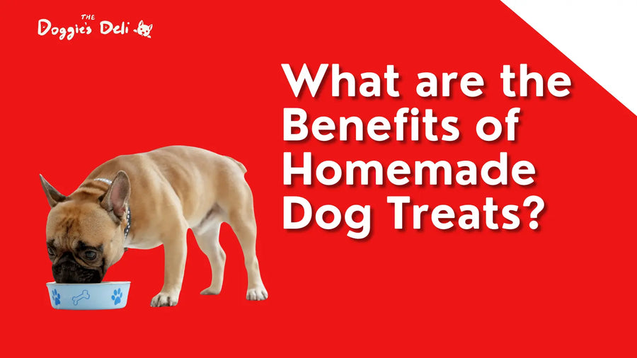 What are the Benefits of Homemade Dog Treats?