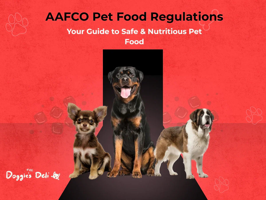 AAFCO Pet Food Regulations: Your Guide to Safe & Nutritious Pet Food