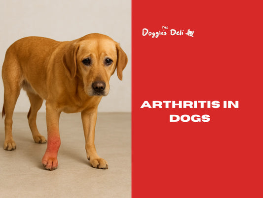 Arthritis in Dogs