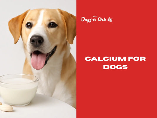 Calcium for Dogs
