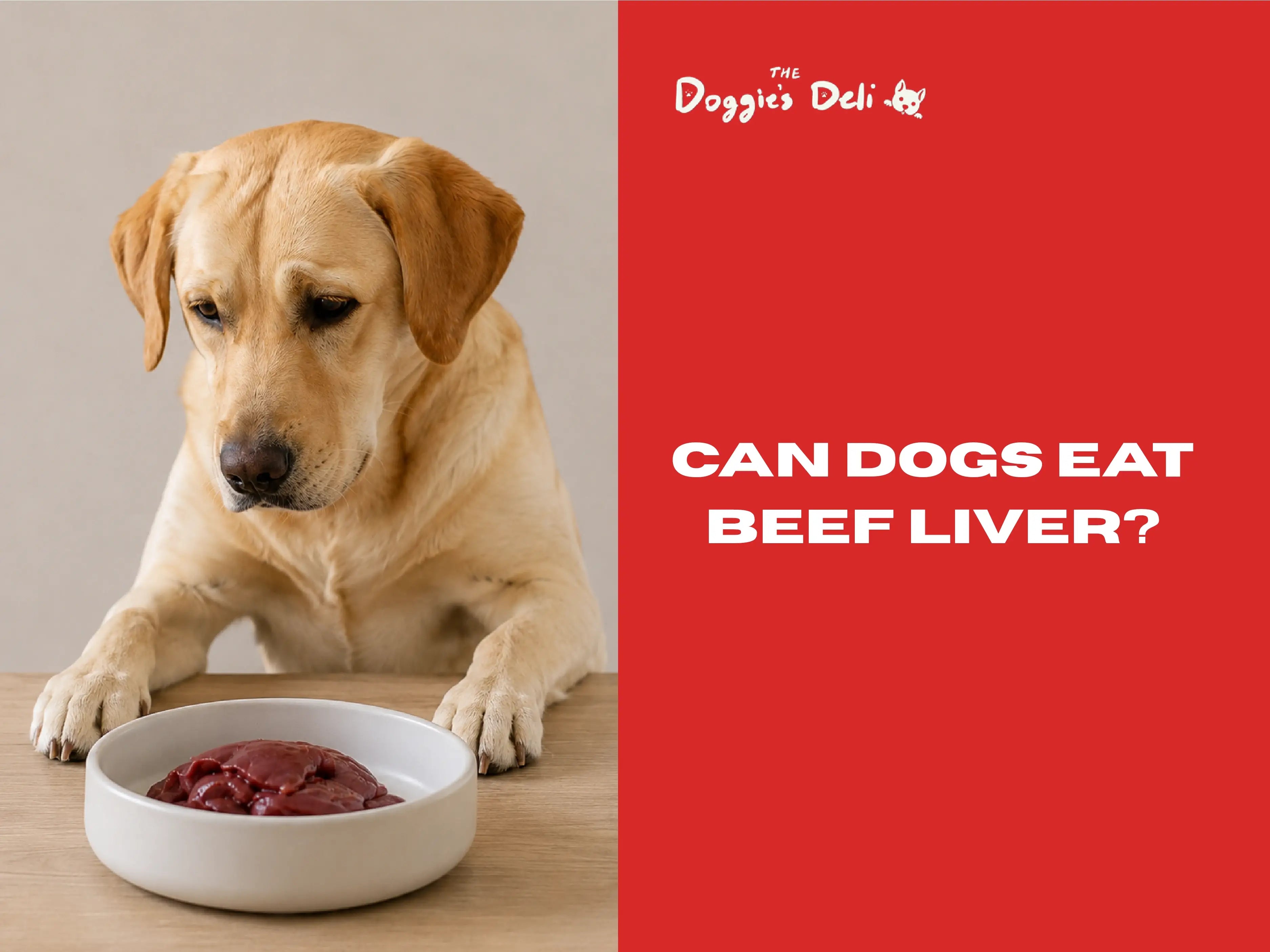 Can dogs eat beef liver?