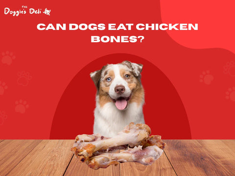Can Dogs Eat Chicken Bones?