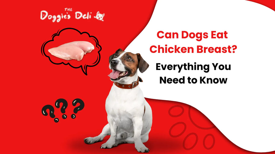Can Dogs Eat Chicken Breast? Everything You Need to Know