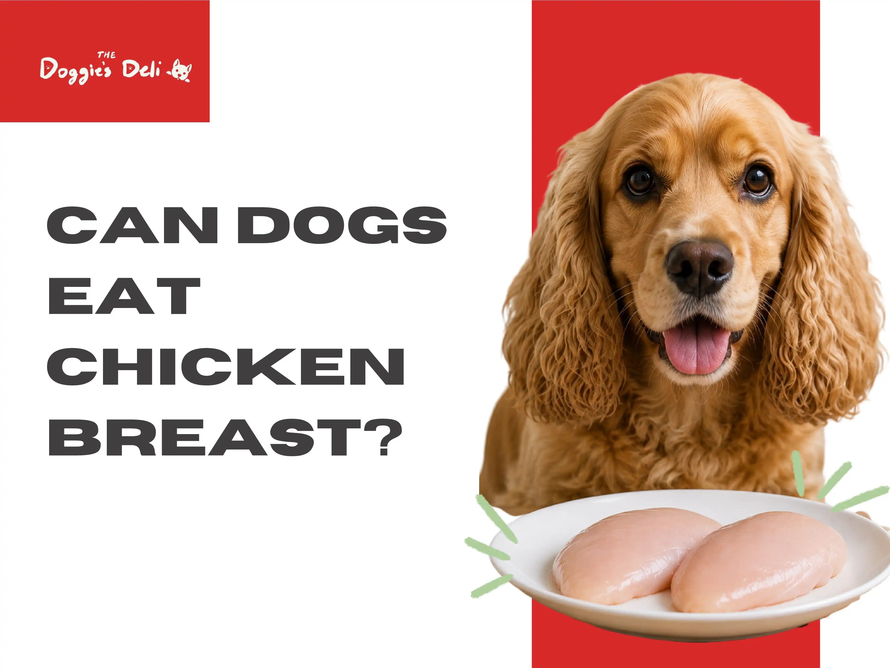 Can dogs eat chicken breast