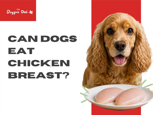 Can dogs eat chicken breast