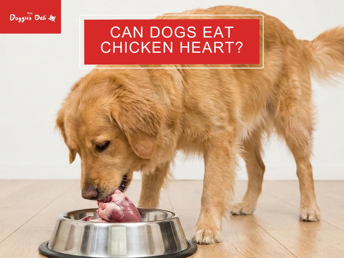 Can Dogs Eat Chicken Heart?