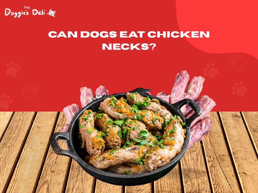 Can Dogs Eat Chicken Necks?