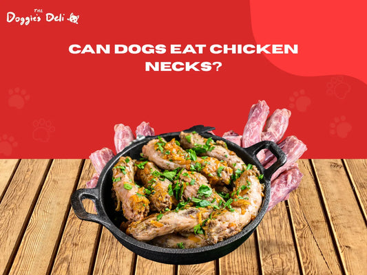 Can Dogs Eat Chicken Necks?