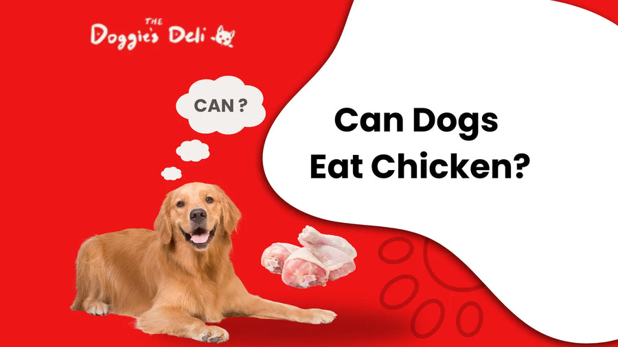 Can Dogs Eat Chicken?
