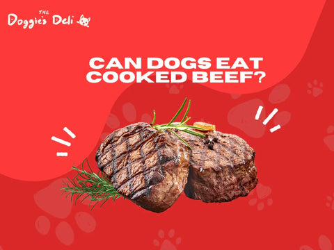 Can Dogs Eat Cooked Beef?