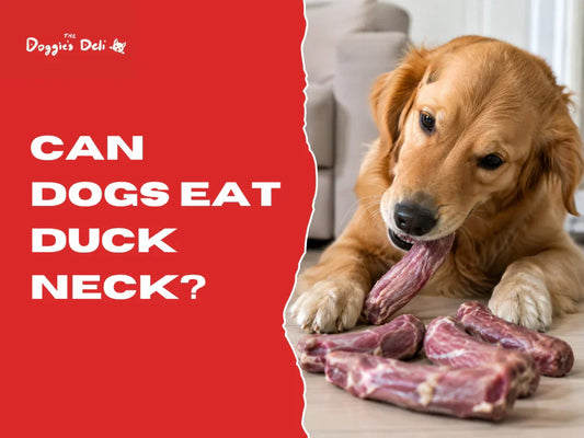 Can dogs eat duck neck