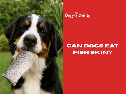 Can Dogs Eat Fish Skin?