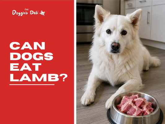 Can Dogs Eat Lamb