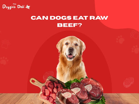 Can Dogs Eat Raw Beef?