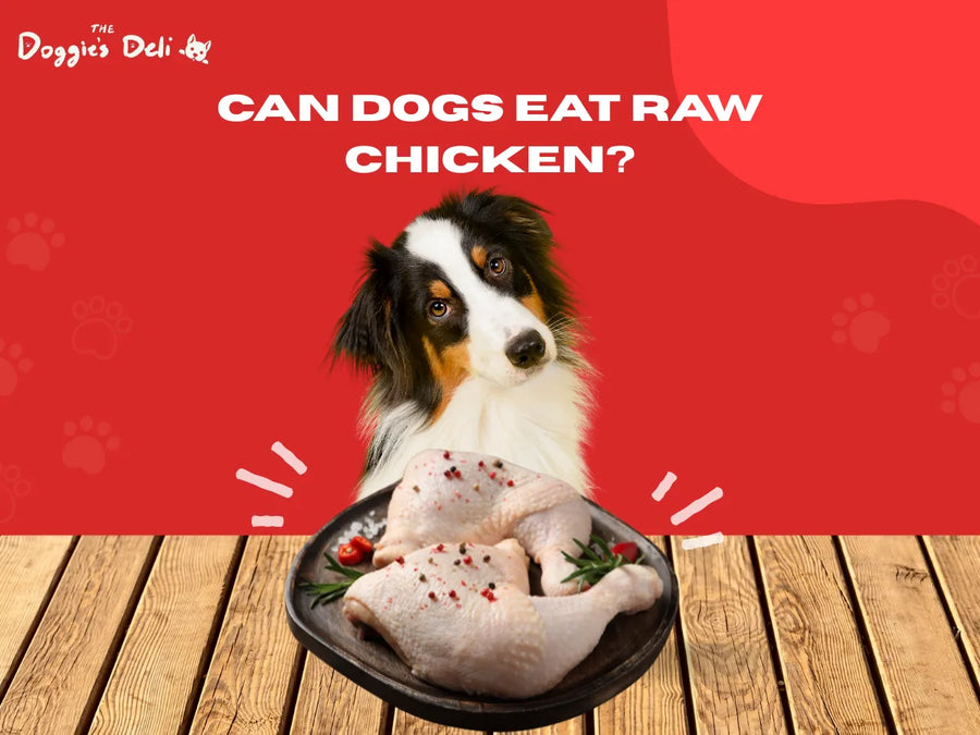 Can Dogs Eat Raw Chicken?