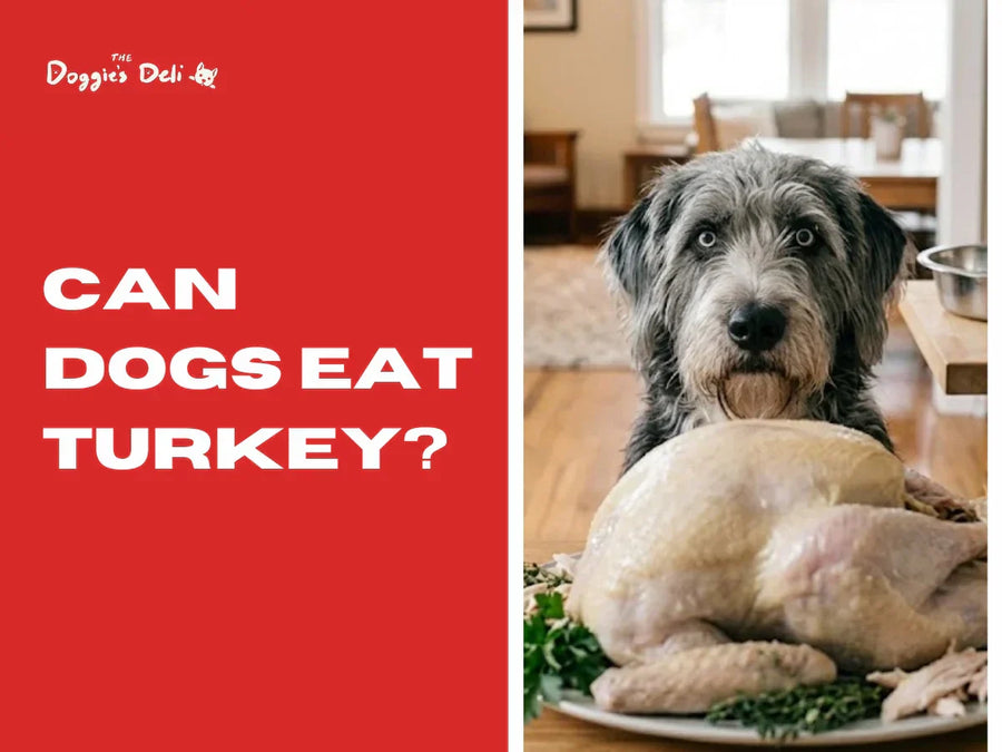 Can Dogs Eat Turkey?