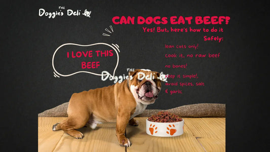 Can Dogs Eat Beef?