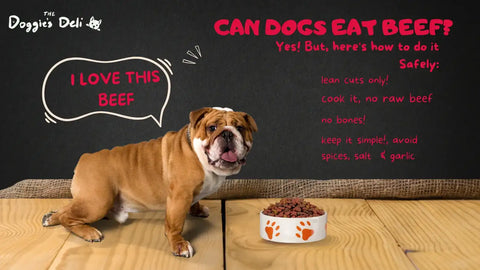 Can Dogs Eat Beef?