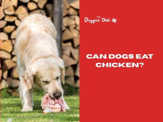 Can dogs eat chicken