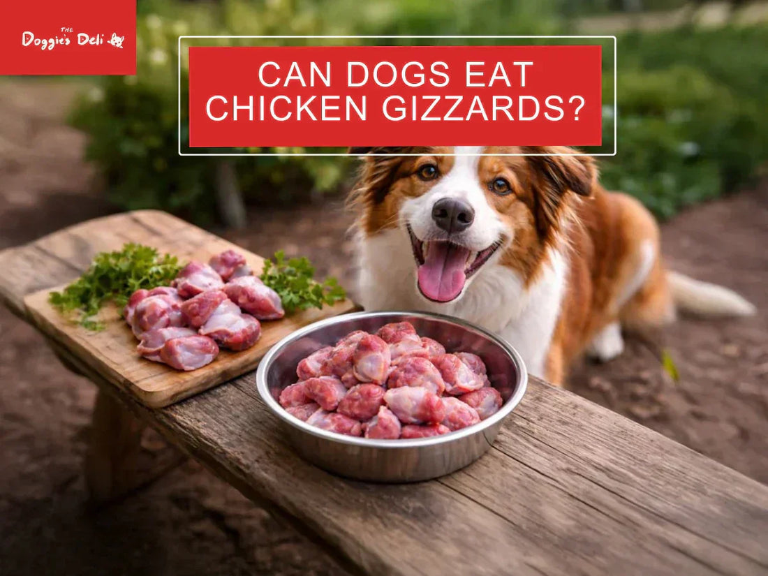 Can Dogs Eat Chicken Gizzards?