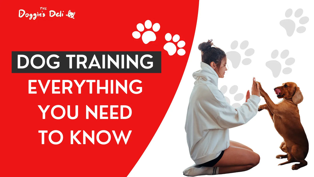 Dog Training: Everything You Need to Know