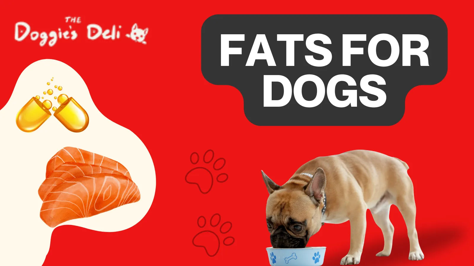 Fats for Dogs: Types, Benefits and Risks in Dog Diets | The Doggie's Deli