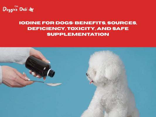 Iodine for Dogs