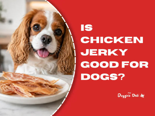 Is Chicken Jerky Good for Dogs?