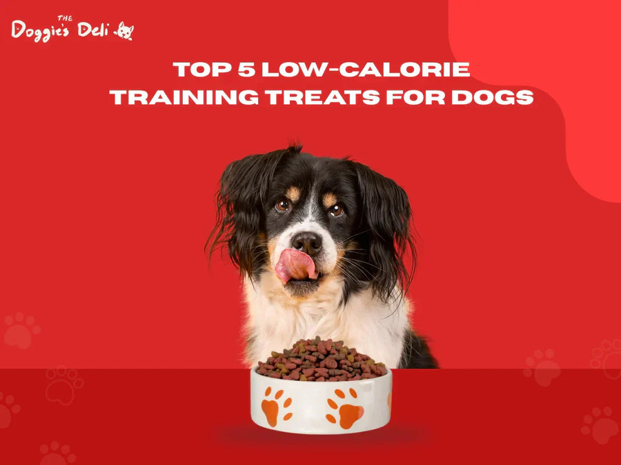 Top 5 Low-Calorie Training Treats for Dogs