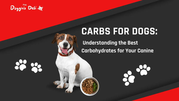 Carbs for Dogs: Understanding the Best Carbohydrates for Your Canine