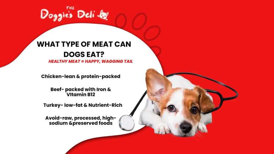 What Type of Meat Can Dogs Eat?