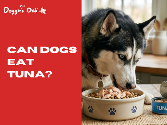 Can dogs eat tuna