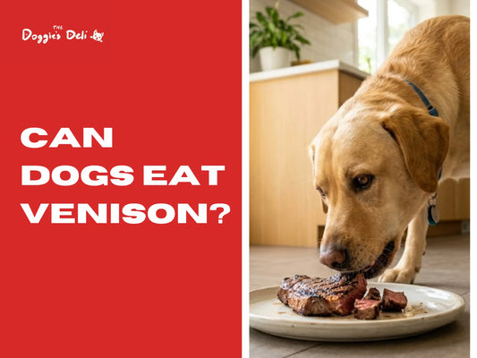 Can dogs eat venison
