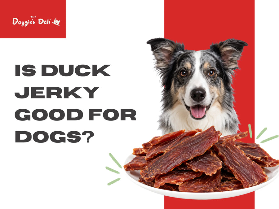 Is Duck Jerky Good for Dogs?