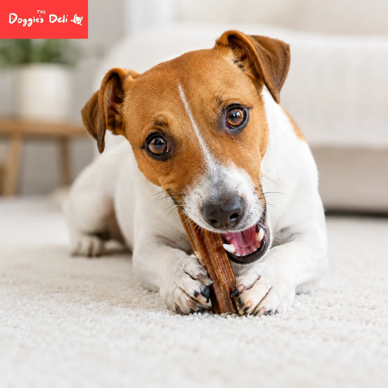 Dog Treats for Vitamin & Vision Health