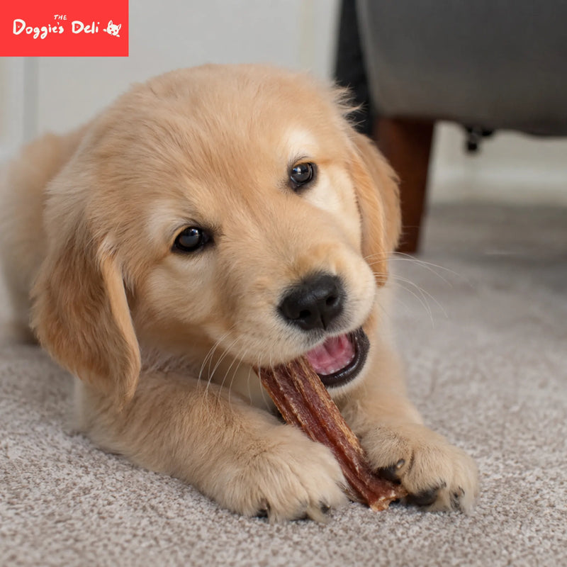 Treats for Puppy