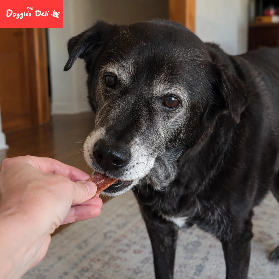 Treats for Senior Dogs