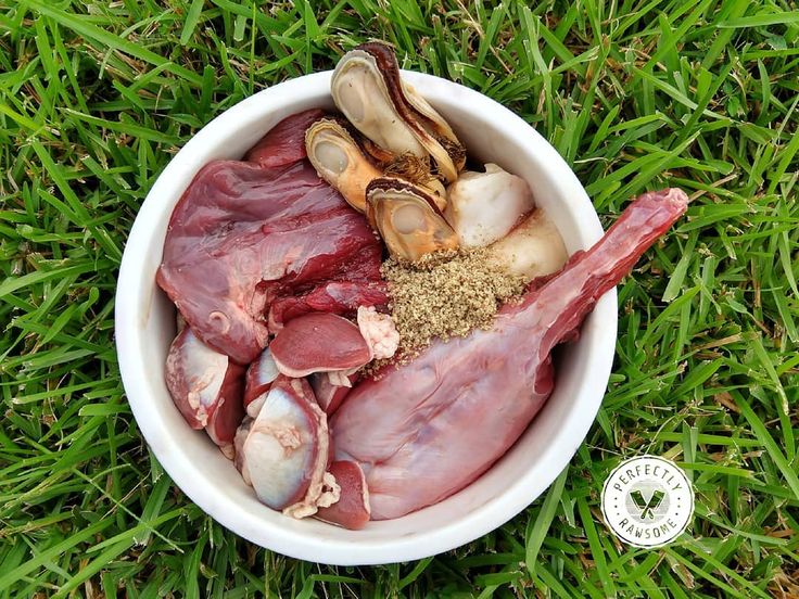 Adult_Dog_Raw_Feeding_Guidelines_Canine_Nutrition_Raw_Diets