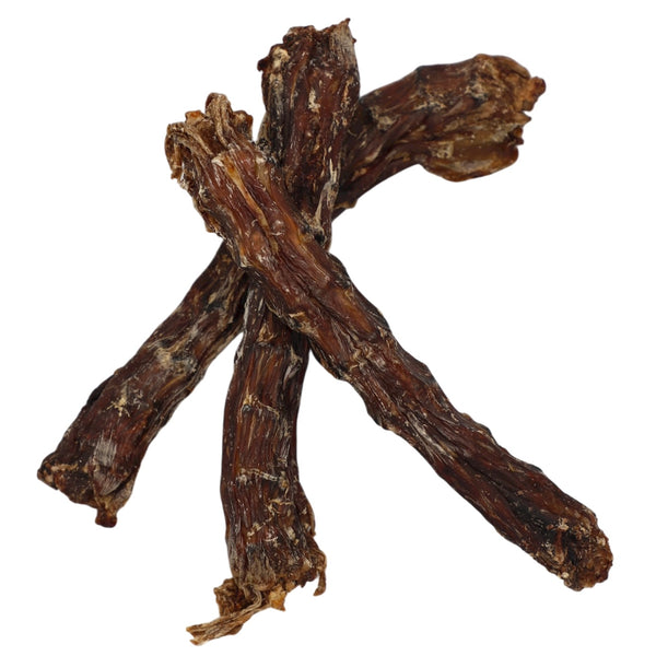 Dried brown sticks on a white background