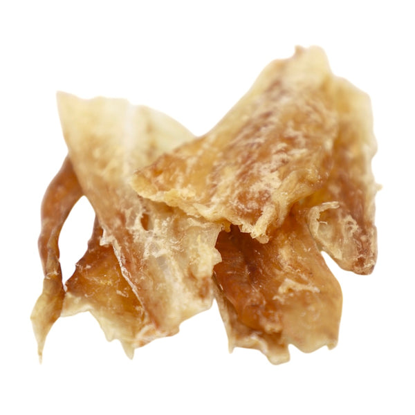 Close-up of a piece of dried shark fin on a white background