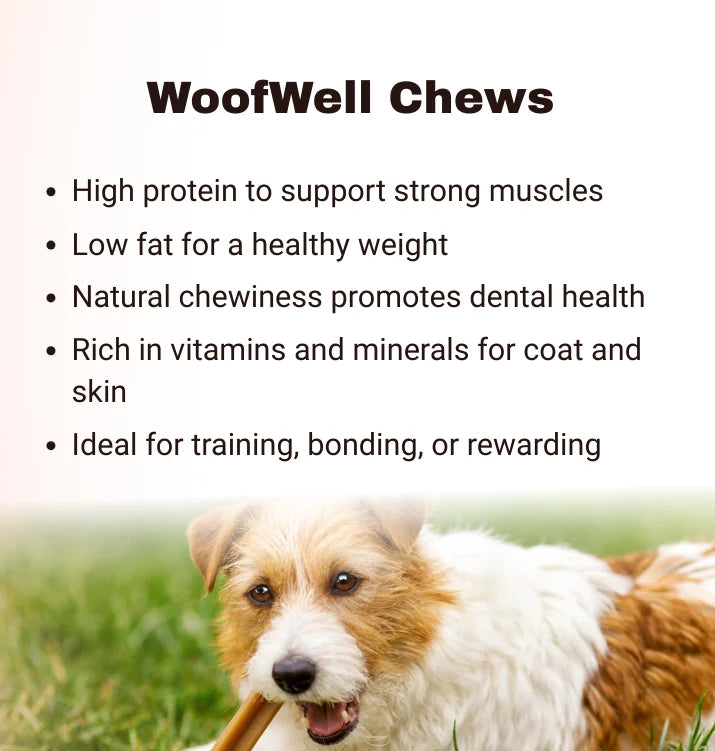 WoofWell Chews